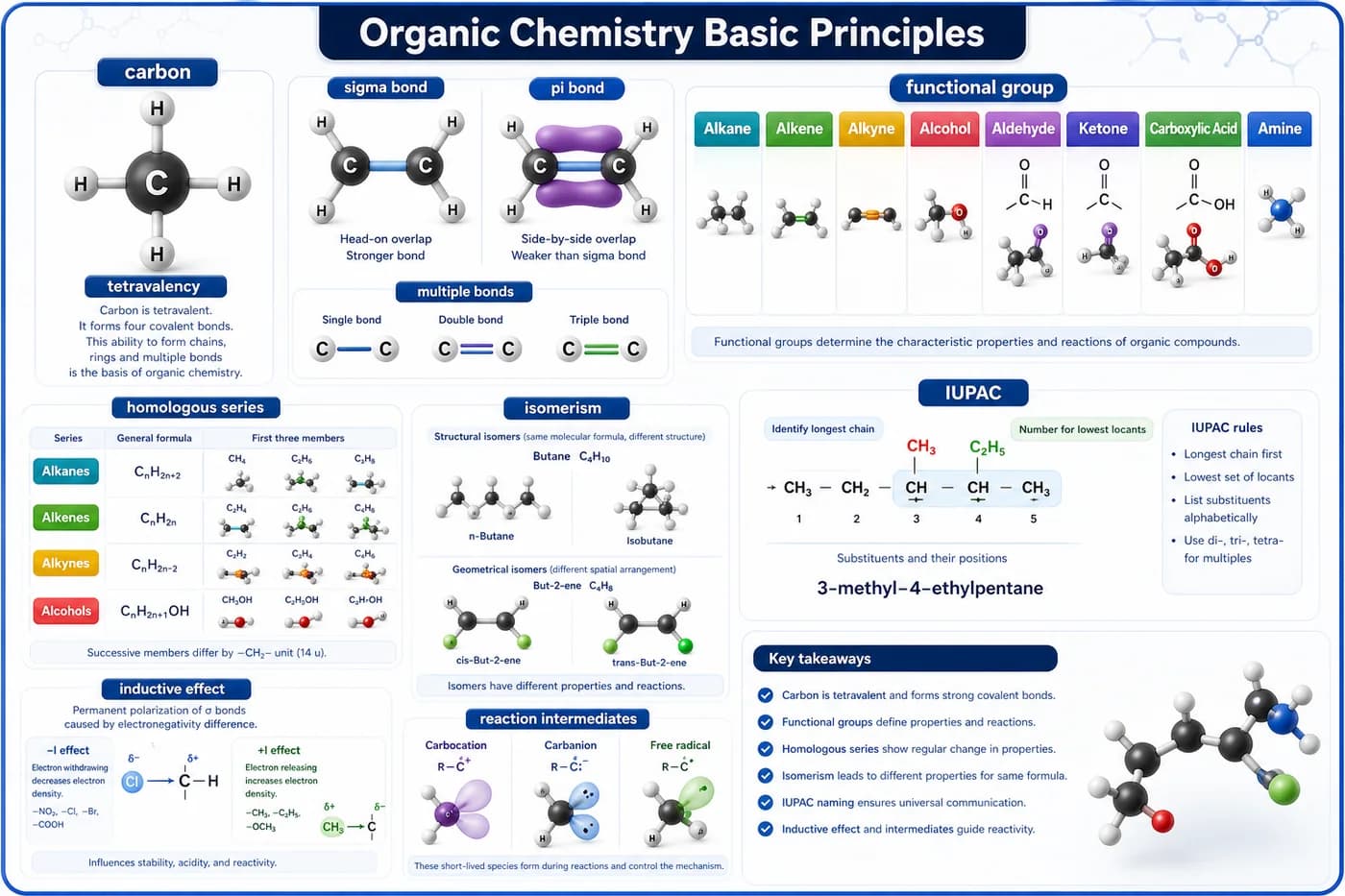 3D visual of organic chemistry basics showing carbon tetravalency, functional groups, isomerism, IUPAC naming, sigma and pi bonds, and inductive effect