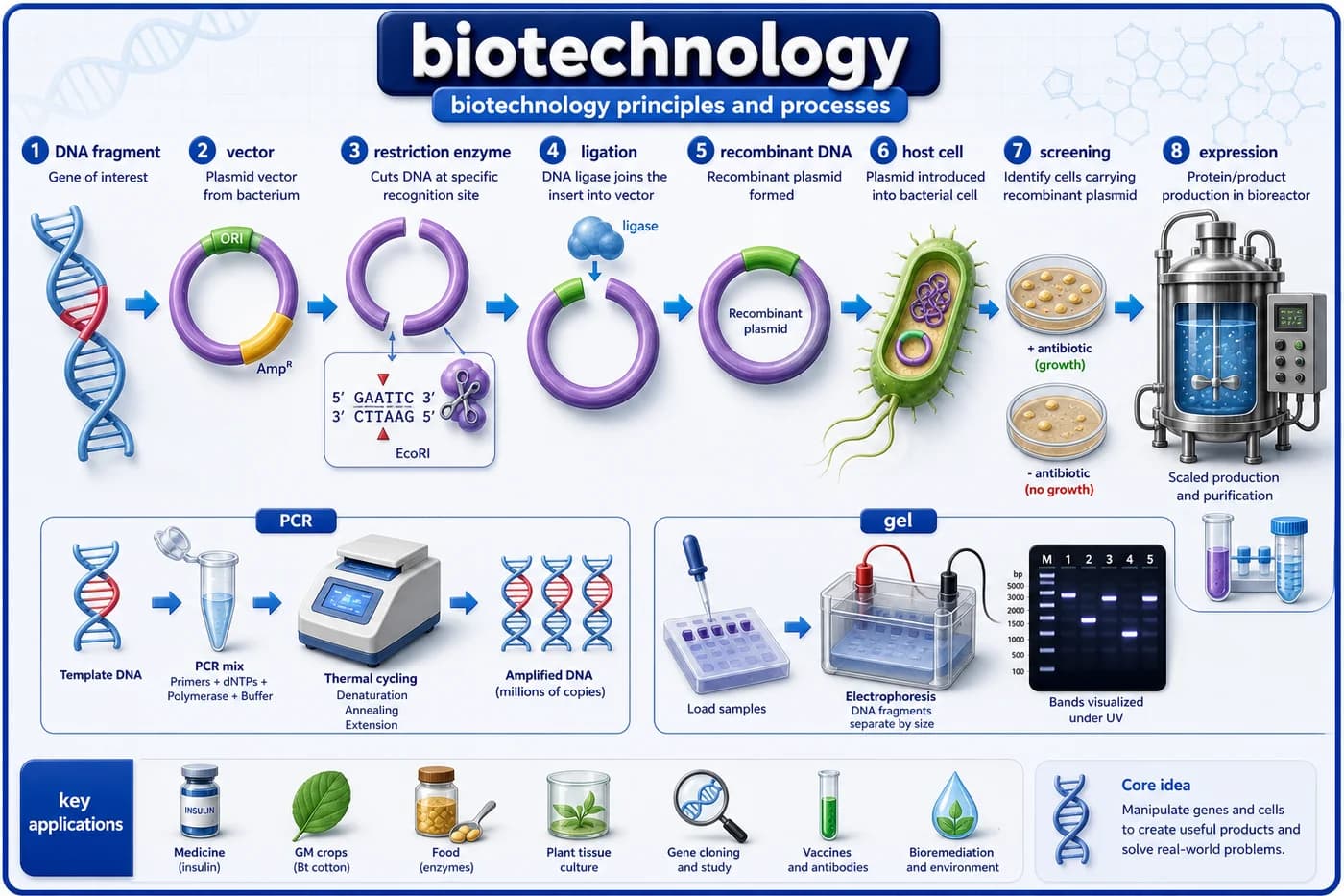 3D biotechnology visual showing recombinant DNA workflow, vector, restriction enzyme, ligase, PCR, gel electrophoresis, and host cell