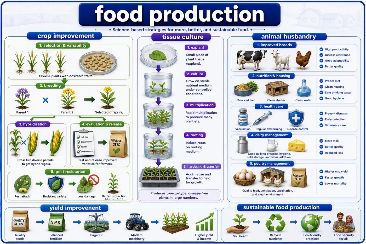 3D biology visual showing crop improvement, hybridisation, tissue culture, breeding, pest resistance, animal husbandry, and yield improvement