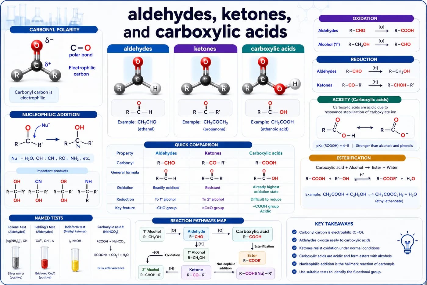 3D organic chemistry visual showing aldehydes, ketones, carboxylic acids, carbonyl polarity, nucleophilic addition, oxidation, esterification, and acidity