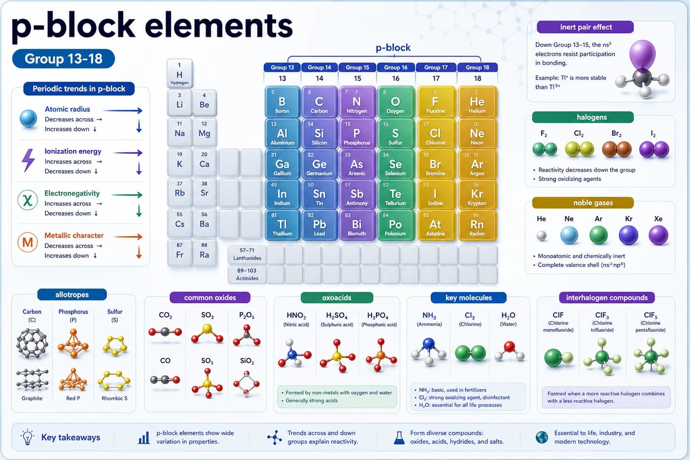 3D chemistry visual showing p-block groups 13 to 18, inert pair effect, halogens, noble gases, oxoacids, and allotropes